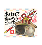 ゆきちゃん宅スタンプ19（個別スタンプ：24）