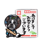 Teddy Stanp バラエティパック（個別スタンプ：6）