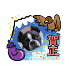 Teddy Stanp バラエティパック（個別スタンプ：7）