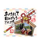 Teddy Stanp バラエティパック（個別スタンプ：11）