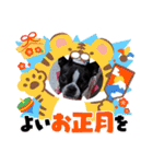 Teddy Stanp バラエティパック（個別スタンプ：14）