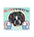 Teddy Stanp バラエティパック（個別スタンプ：15）