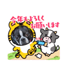 Teddy Stanp バラエティパック（個別スタンプ：16）