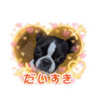 Teddy Stanp バラエティパック（個別スタンプ：22）