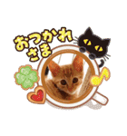 茶トラのちゃくん2番（個別スタンプ：8）