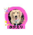 便利なモカくんスタンプ2（個別スタンプ：7）