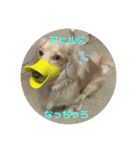 便利なモカくんスタンプ2（個別スタンプ：9）