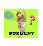 便利なモカくんスタンプ2（個別スタンプ：15）