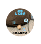 便利なモカくんスタンプ2（個別スタンプ：16）