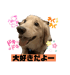 便利なモカくんスタンプ2（個別スタンプ：20）