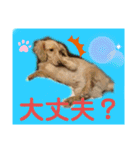便利なモカくんスタンプ2（個別スタンプ：23）