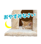 きなこもちのスタンプ season2（個別スタンプ：16）