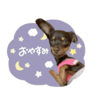 ♡ちな様（個別スタンプ：16）