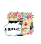 キュートな茶白猫☆きなこちゃん☆（個別スタンプ：8）