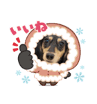 おもち、おはな（個別スタンプ：3）