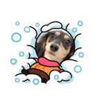 おもち、おはな（個別スタンプ：4）