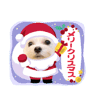 おもち、おはな（個別スタンプ：6）