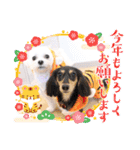 おもち、おはな（個別スタンプ：9）