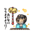 おもち、おはな（個別スタンプ：10）