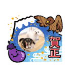 おもち、おはな（個別スタンプ：11）