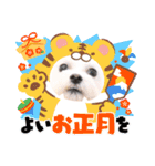 おもち、おはな（個別スタンプ：12）
