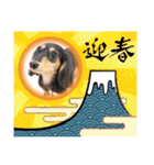 おもち、おはな（個別スタンプ：14）