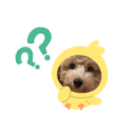 チャミU・x・U（個別スタンプ：3）