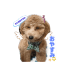 チャミU・x・U（個別スタンプ：9）
