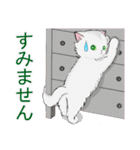 猫の冬スタンプ 日常と冬のあいさつ（個別スタンプ：32）