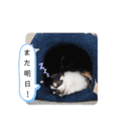 リディムスタンプ2（個別スタンプ：4）