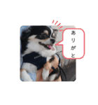 リディムスタンプ2（個別スタンプ：8）