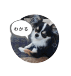 リディムスタンプ2（個別スタンプ：10）