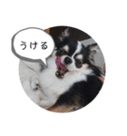 リディムスタンプ2（個別スタンプ：11）