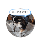 リディムスタンプ2（個別スタンプ：26）