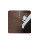 リディムスタンプ2（個別スタンプ：32）