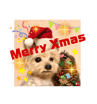 羊毛フェルトの動物のクリスマスとお正月（個別スタンプ：6）