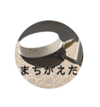 チロ＆マロの亀スタンプ第二段（個別スタンプ：2）