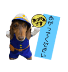ミニチュアダックスりん物語挨拶編（個別スタンプ：6）
