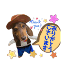 ミニチュアダックスりん物語挨拶編（個別スタンプ：7）