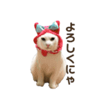 りくまるすたんぷ②（個別スタンプ：20）
