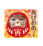 かんちゃんスタンプ⑥（個別スタンプ：31）