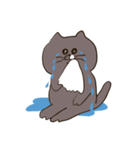 ぽちゃ猫むくちゃん（個別スタンプ：16）