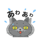 まる de ねこ（個別スタンプ：19）