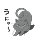 まる de ねこ（個別スタンプ：27）