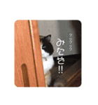 モモちゃん12/ 5（個別スタンプ：12）