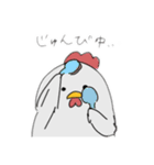 雑ニワトリスタンプ（個別スタンプ：4）