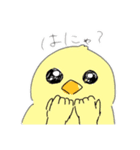 雑ニワトリスタンプ（個別スタンプ：13）