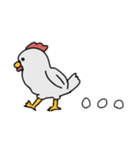 雑ニワトリスタンプ（個別スタンプ：24）