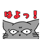 ホームレス猫 タマの日常会話(関西弁有り)（個別スタンプ：14）