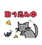 ホームレス猫 タマの日常会話(関西弁有り)（個別スタンプ：20）